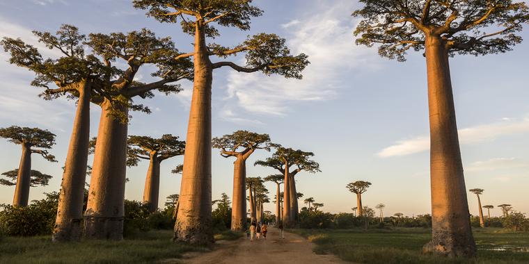 best things to do in madagascar