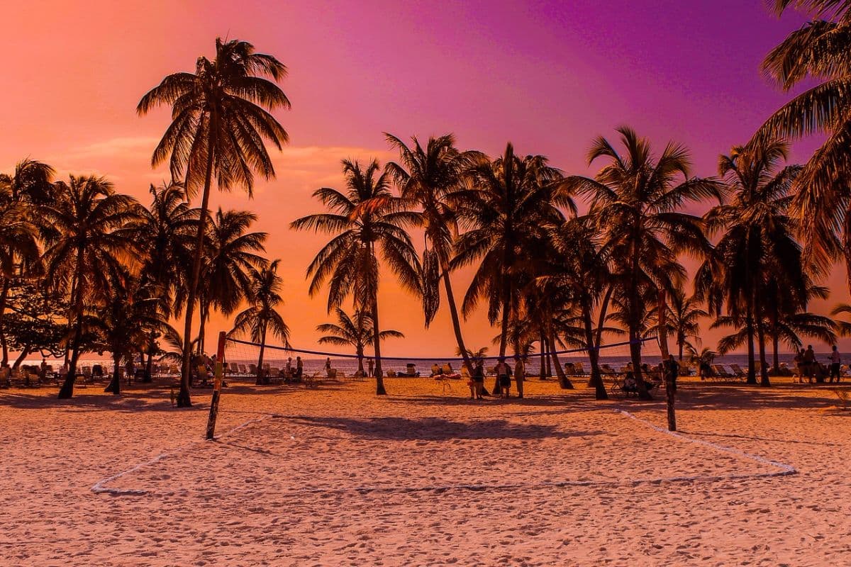11 Top-Rated Tourist Attractions in Barbados 11 Top-Rated Tourist Attractions in Barbados