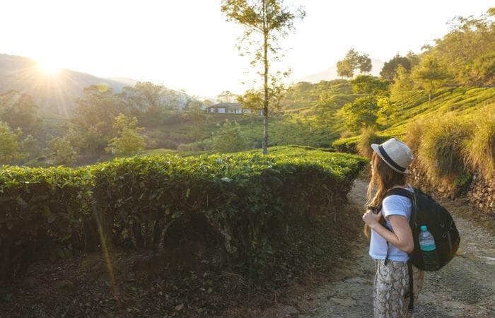 6 Out-Of-The-Park Trails For Trekking In Munnar 6 Out-Of-The-Park Trails For Trekking In Munnar