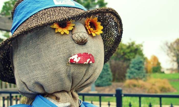 See 23 Best Fall Festivals to Celebrate the Season See 23 Best Fall Festivals to Celebrate the Season