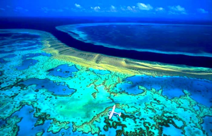 This Coral barrier reef is even seen from the space! This Coral barrier reef is even seen from the space!