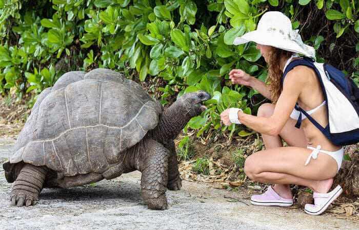 13 best travel destinations to visit in Madagascar 13 best travel destinations to visit in Madagascar