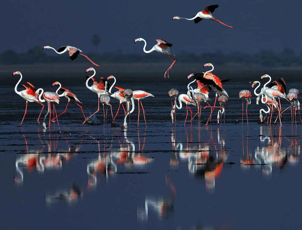21 Amazing places to be thrilled of in Chennai! 21 Amazing places to be thrilled of in Chennai!