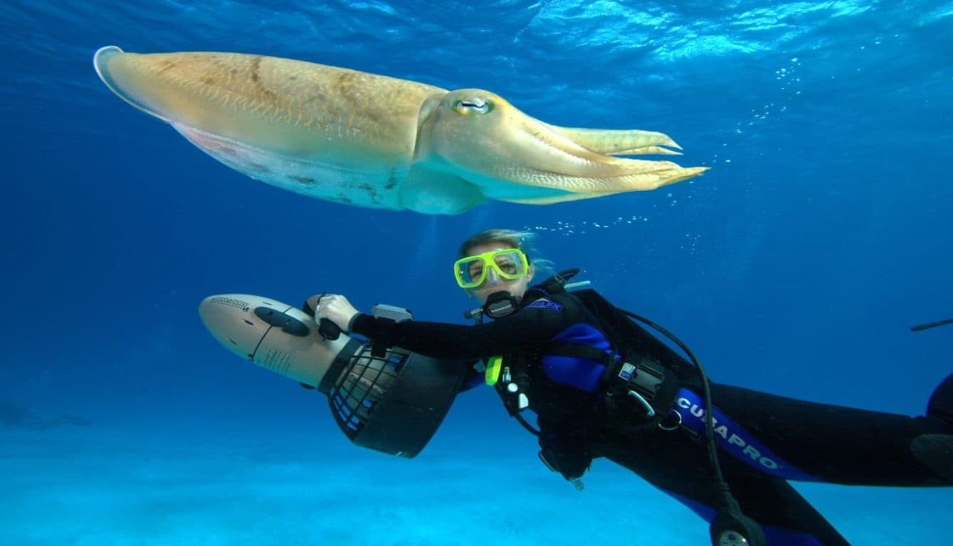 Adventurous Activities You Must Do In Thailand Adventurous Activities You Must Do In Thailand