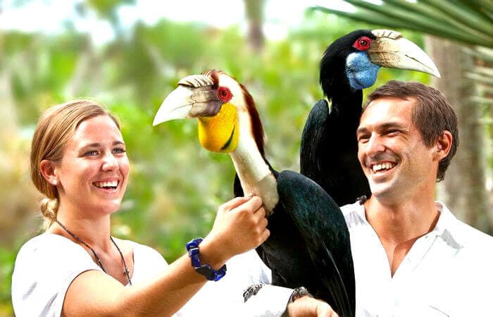 Bali Bird Park: Soak In The Lovely Vibes Of Bali Bali Bird Park: Soak In The Lovely Vibes Of Bali