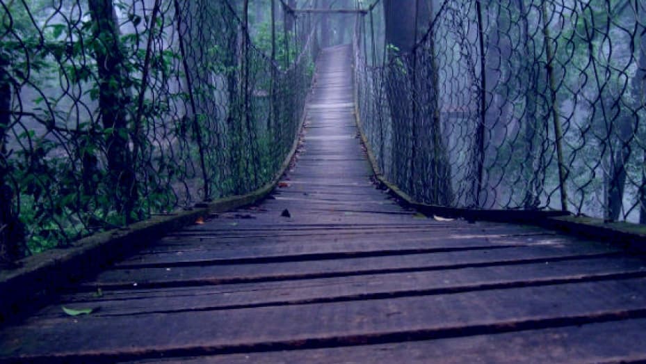 India's First Ever Canopy park Is Here India's First Ever Canopy park Is Here