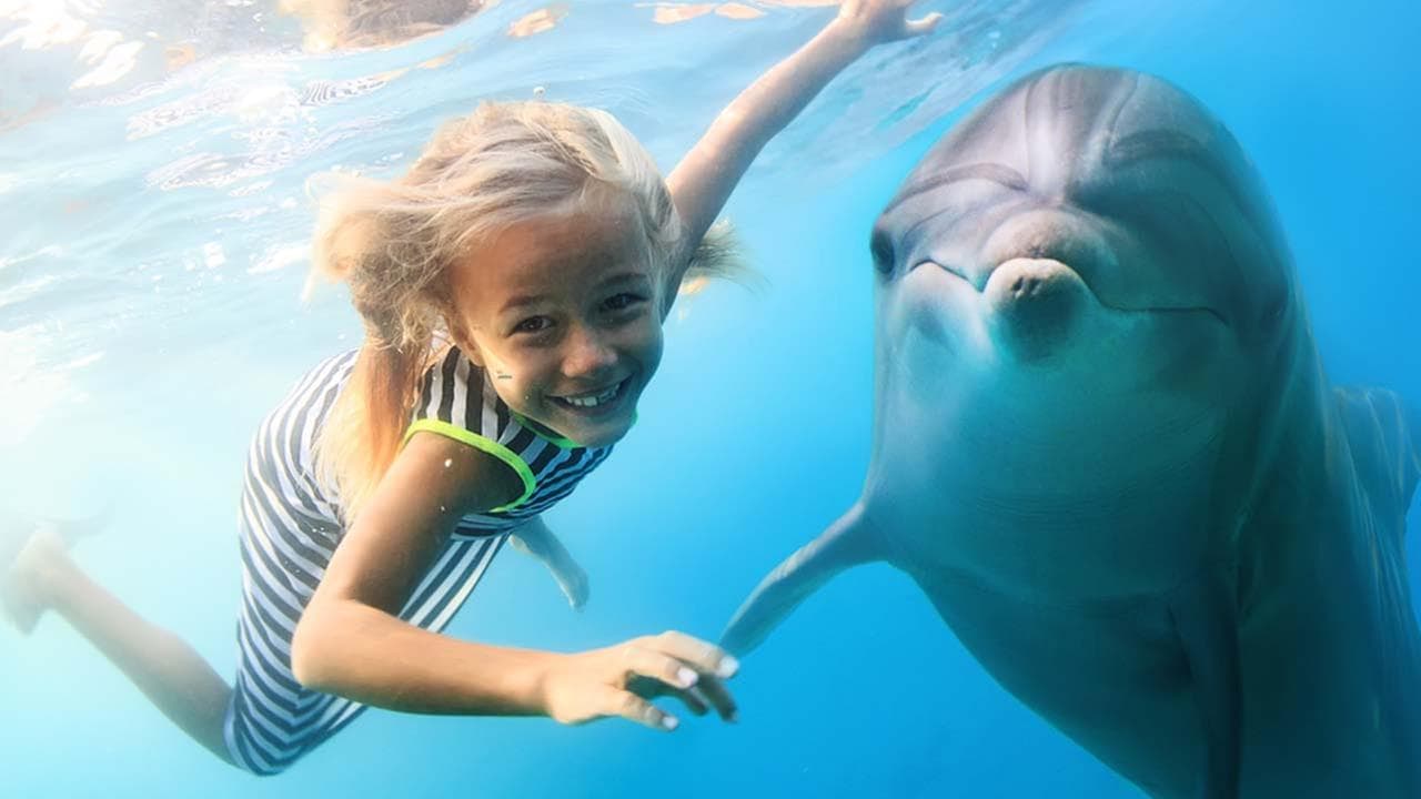 15 Dream Places To Swim With Dolphins And Make The Most Out Of It 15 Dream Places To Swim With Dolphins And Make The Most Out Of It