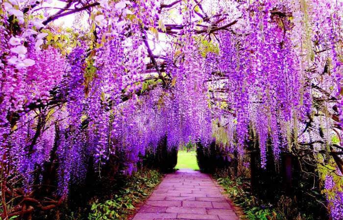 11 Beautiful Places In Japan That Are Hard To Believe Really Exist! 11 Beautiful Places In Japan That Are Hard To Believe Really Exist!