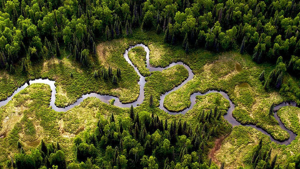 Top interesting facts about Amazon Rainforest Top interesting facts about Amazon Rainforest