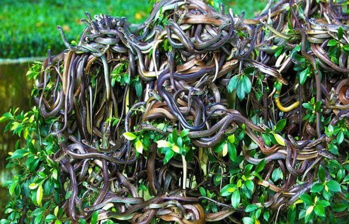 This Island In South America Is One Of World’s Most Dangerous Islands This Island In South America Is One Of World’s Most Dangerous Islands