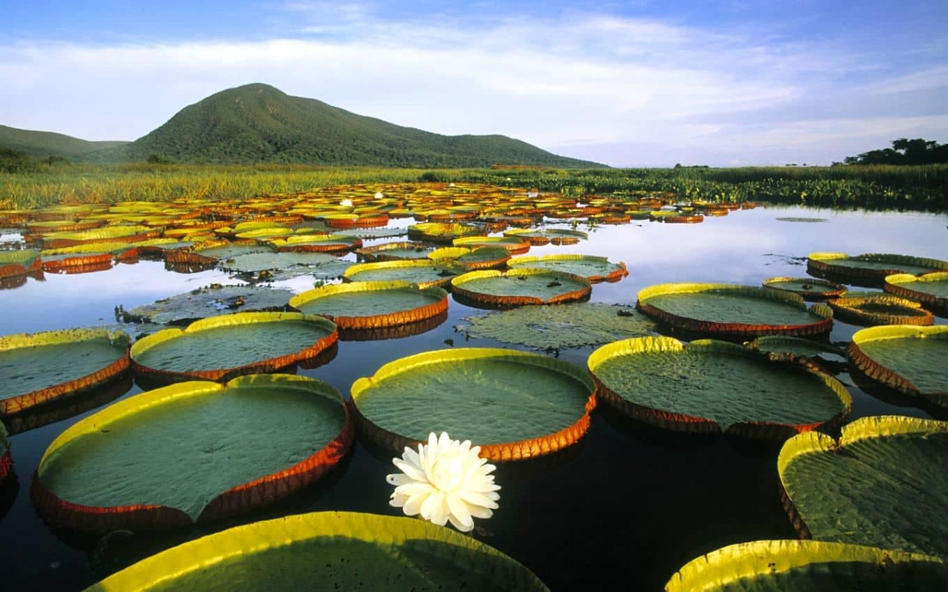 Best Things To Do In Bonito, Brazil: The Complete Guide Best Things To Do In Bonito, Brazil: The Complete Guide