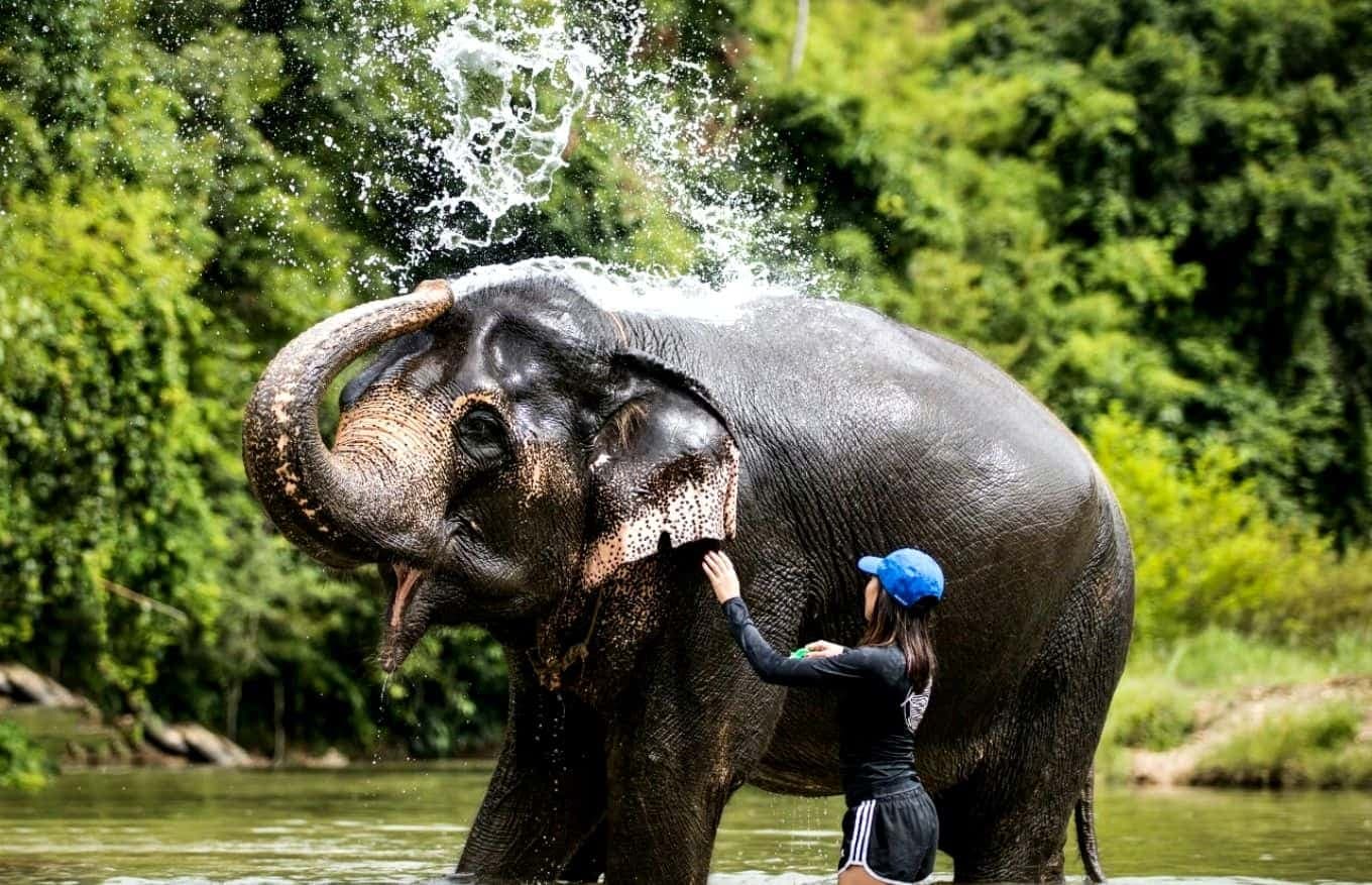 9 Amazing Phuket Day Trips For Great Experiences 9 Amazing Phuket Day Trips For Great Experiences