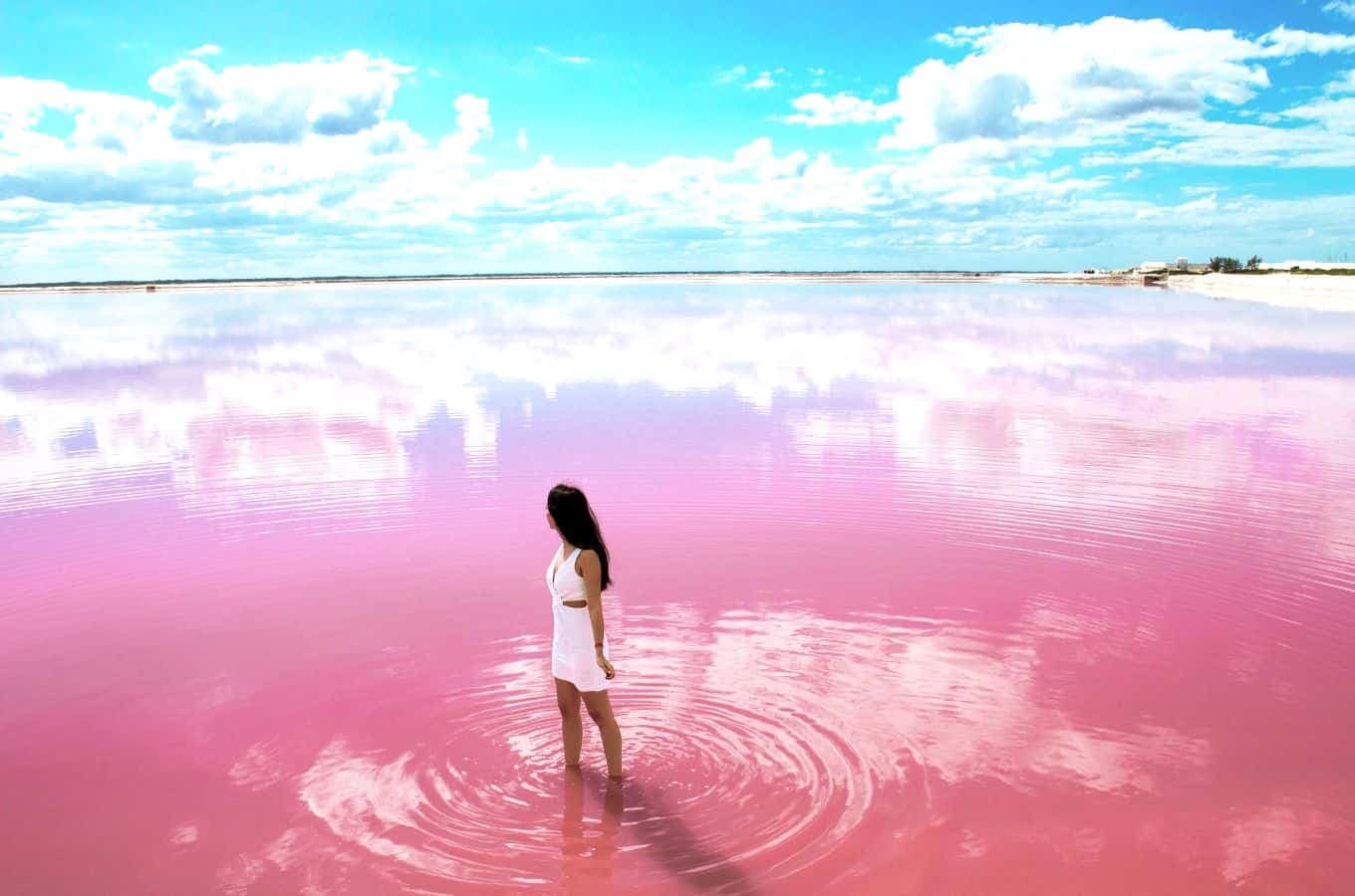 8 Most Stunning Naturally Pink Lakes Around The World 8 Most Stunning Naturally Pink Lakes Around The World