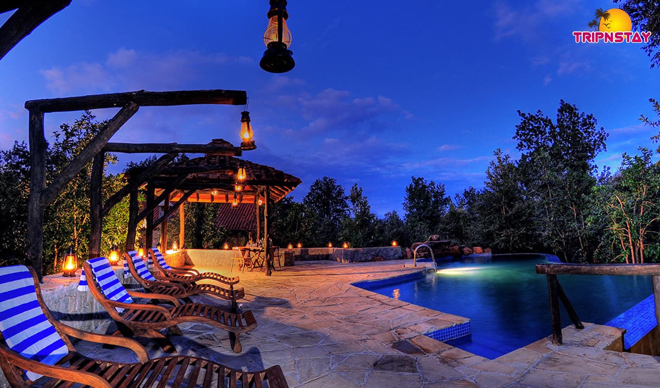 Explore Top 5 National Parks In India With Luxurious Stays Explore Top 5 National Parks In India With Luxurious Stays