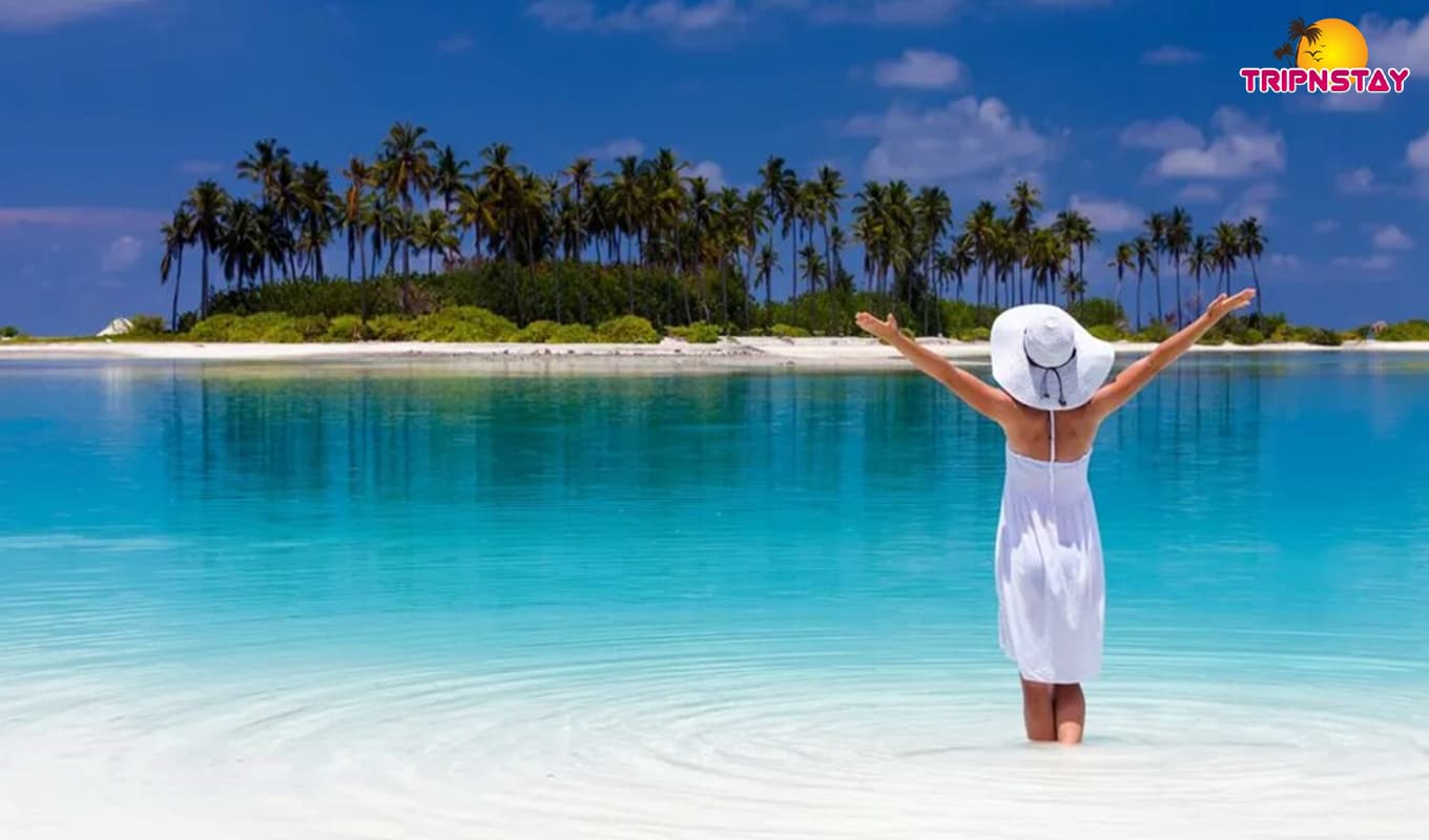 8 Beautiful Private Islands For Your Next Vacation 8 Beautiful Private Islands For Your Next Vacation