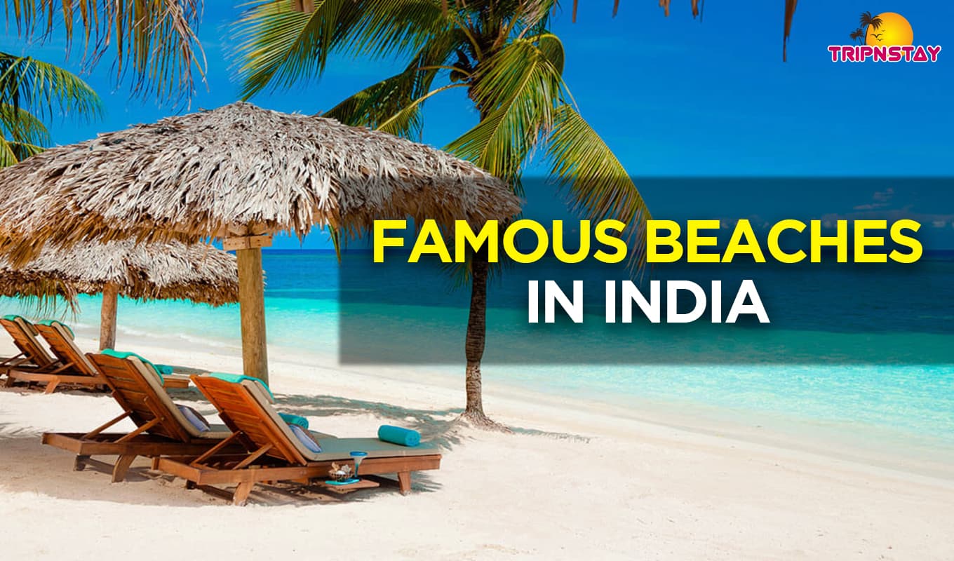 8 Exotic and Famous Beaches In India 8 Exotic and Famous Beaches In India