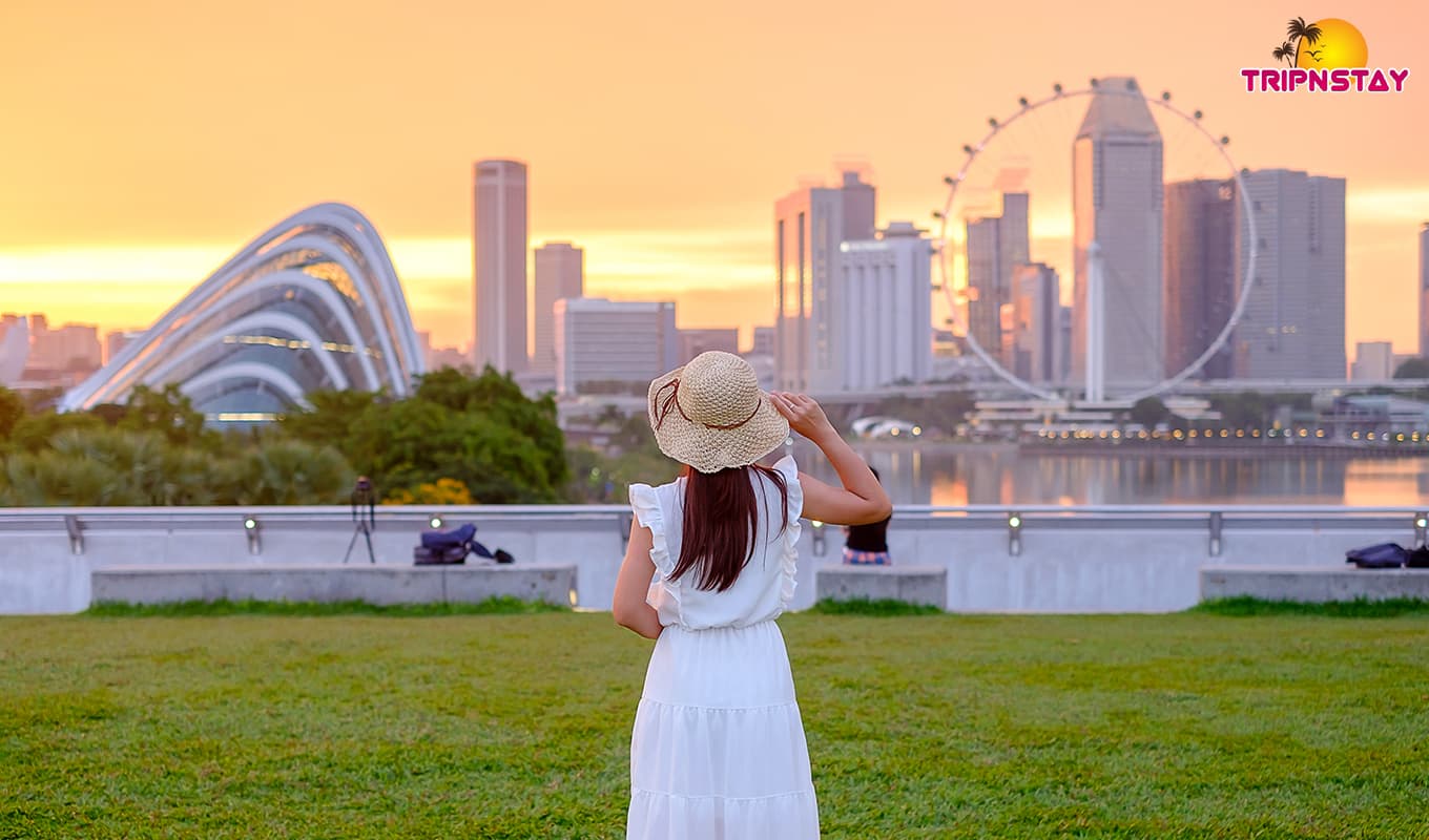 Must-Experience Activities In Singapore For A Memorable Trip Must-Experience Activities In Singapore For A Memorable Trip