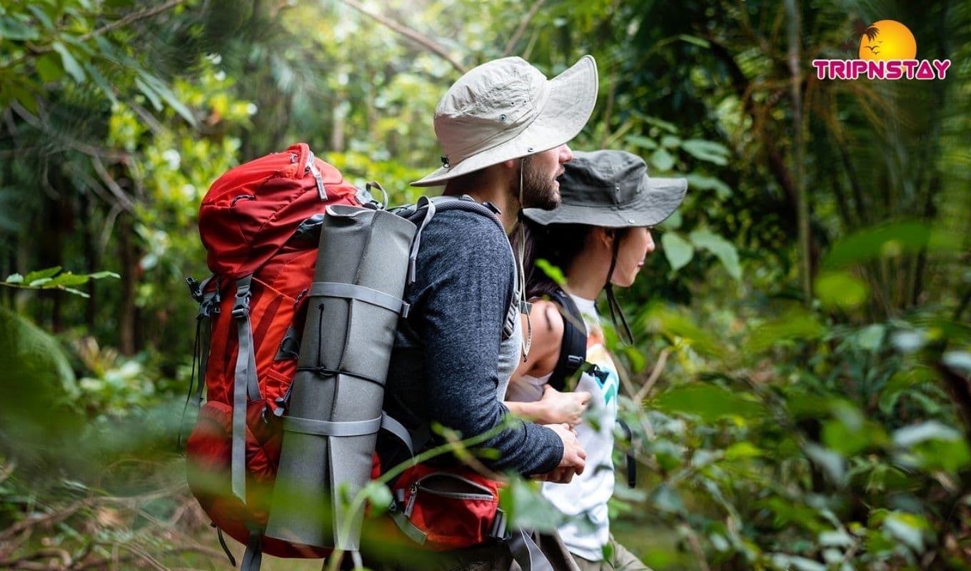 5 Best Wildlife Sanctuaries In Andaman 5 Best Wildlife Sanctuaries In Andaman