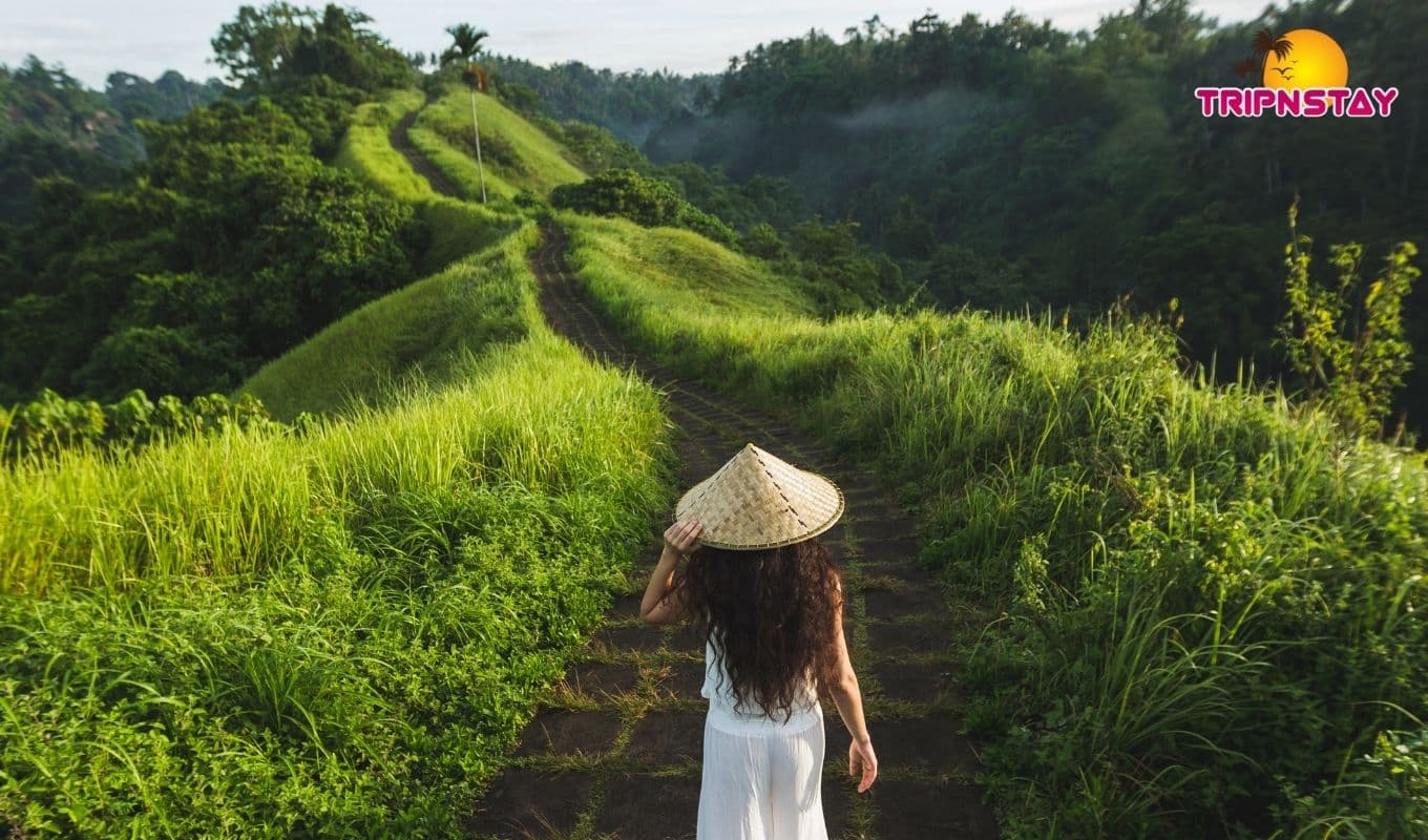 10 Most Beautiful Places To Visit In Ubud City Of Bali 10 Most Beautiful Places To Visit In Ubud City Of Bali