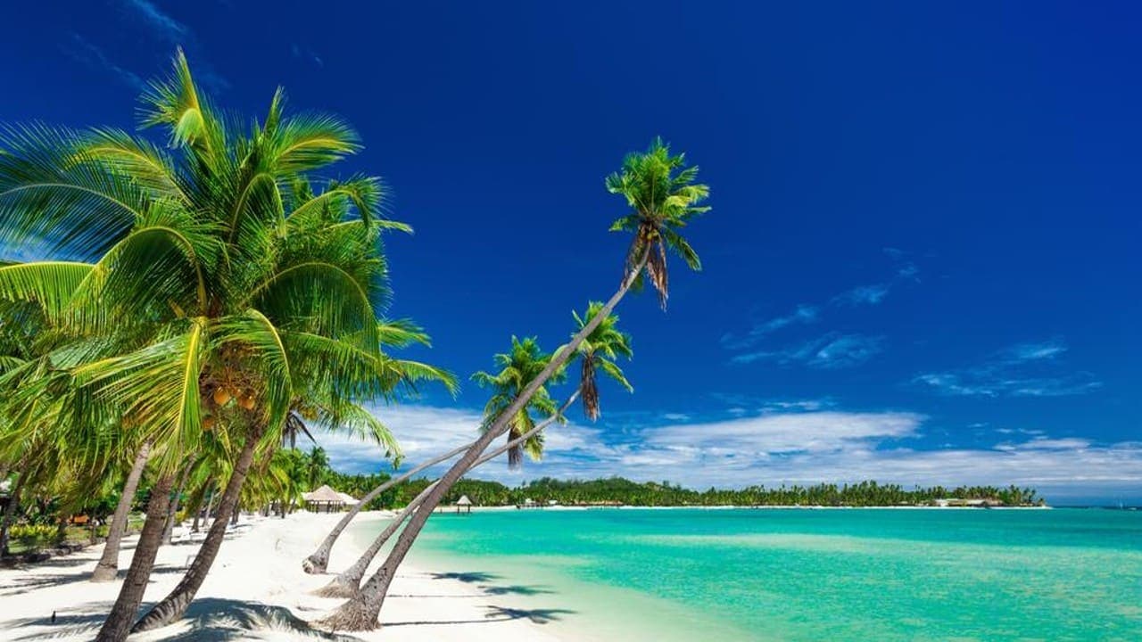 The 12 best things to do in Fiji & Places To See The 12 best things to do in Fiji & Places To See