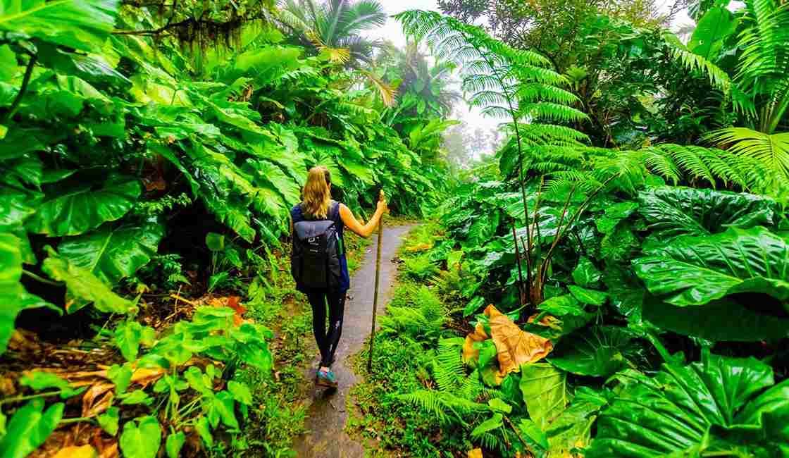 A Guide to the 15 Most Sustainable Travel Destinations Around the World A Guide to the 15 Most Sustainable Travel Destinations Around the World