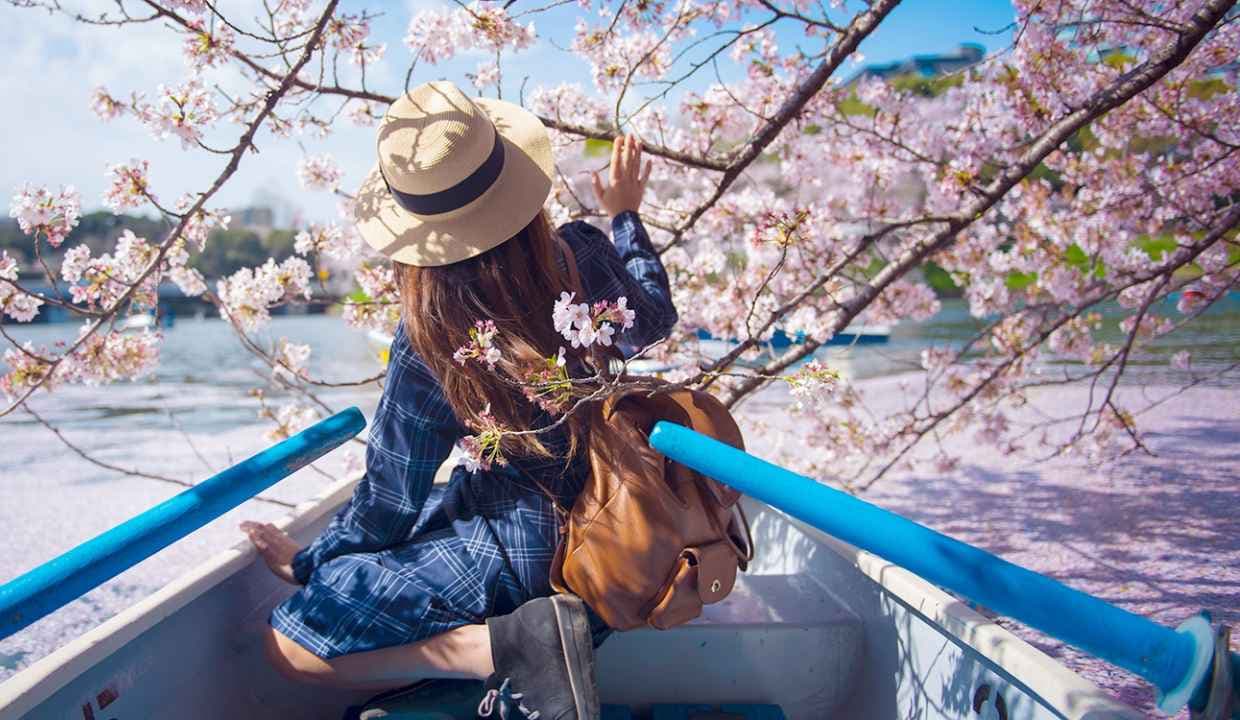 Springtime Blossoms: Exploring the World’s Best Floral Festivals Springtime Blossoms: Exploring the World’s Best Floral Festivals