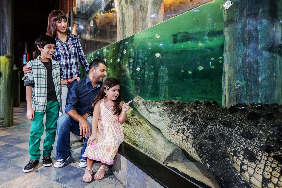 Dubai zoo and Aquarium
