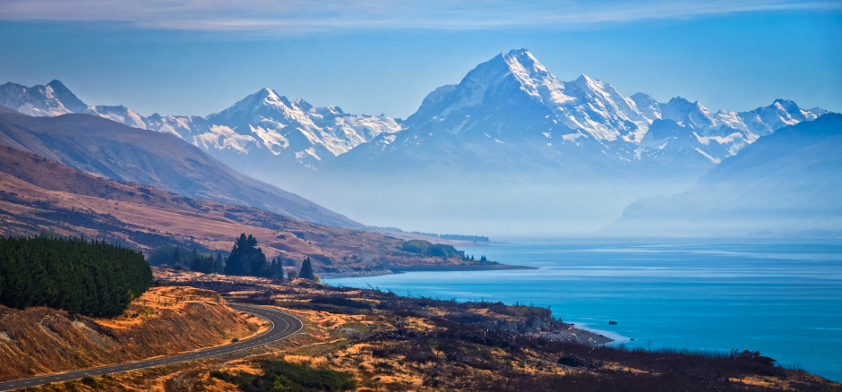 cool things to do in new zealand