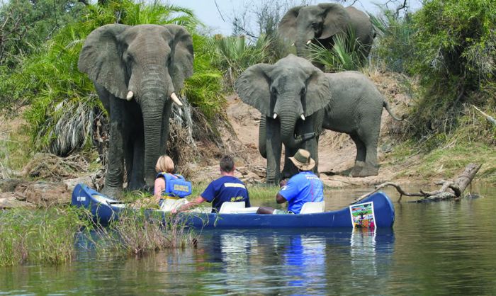 Tamarind Canoe Safari