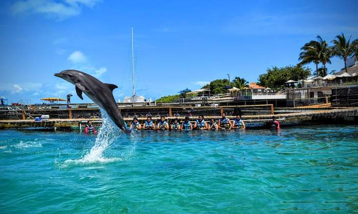 Dolphin Park Mexico