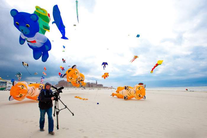 International Kite Festival, festivals in France