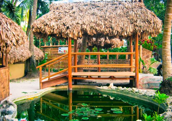 Eco Villa Palm Beach Resort