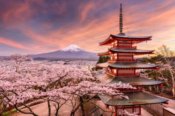 New Spring Flower Cruise In Japan In 2019