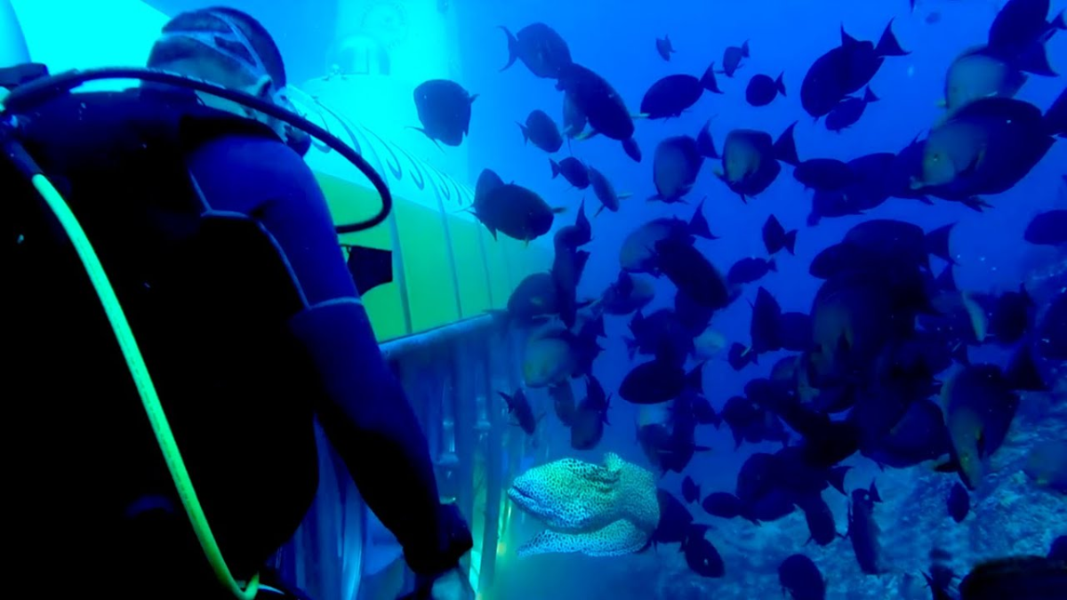 holidays to maldives 