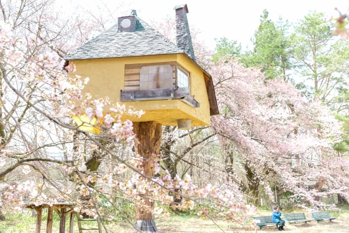 beautiful tree house 