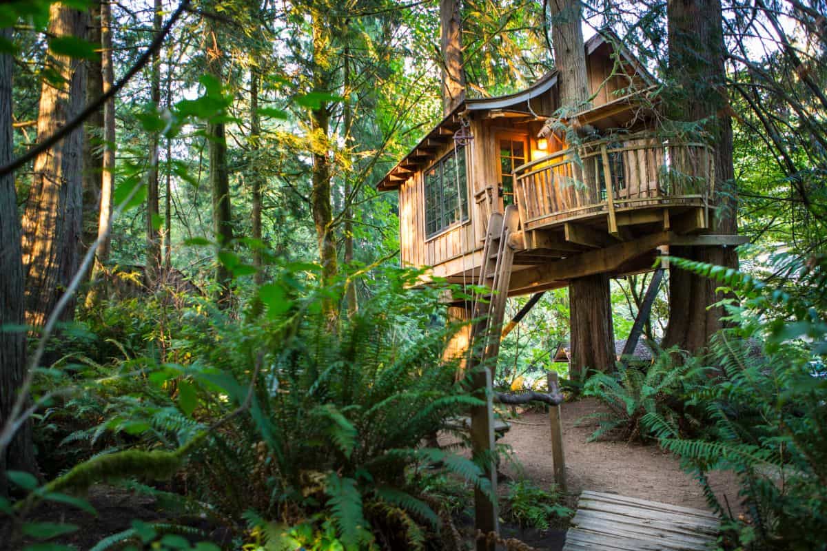Amazing treehouse 