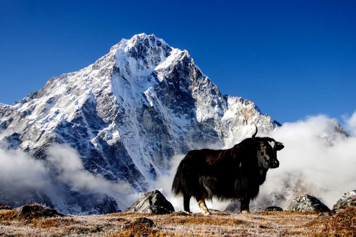 national parks nepal