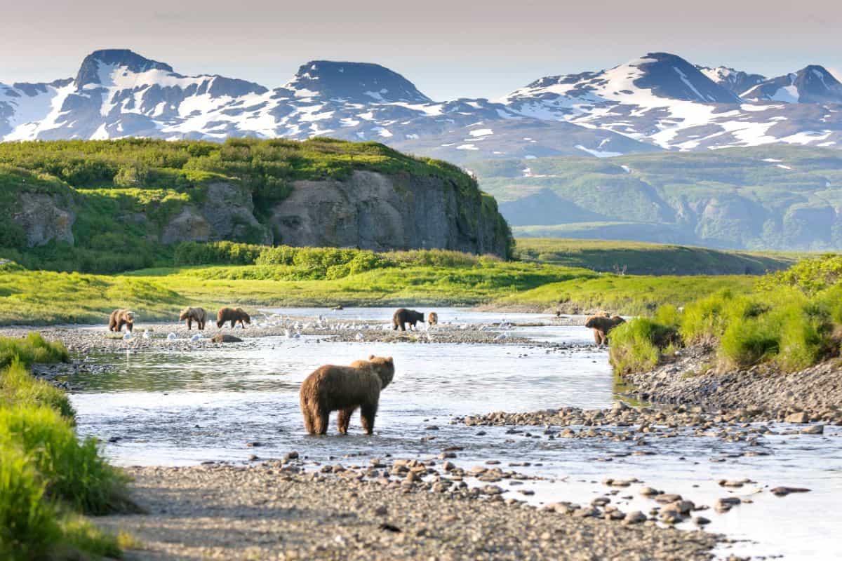things to know about Alaska 