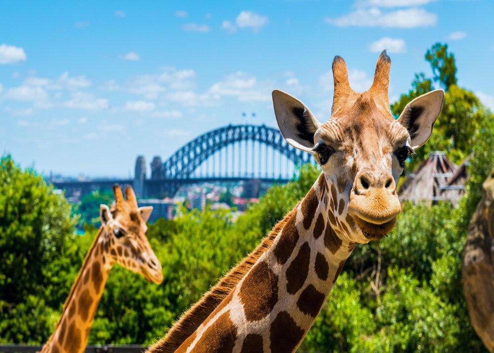 Top 7 Places To Visit In Sydney You Must Not Miss in 2021