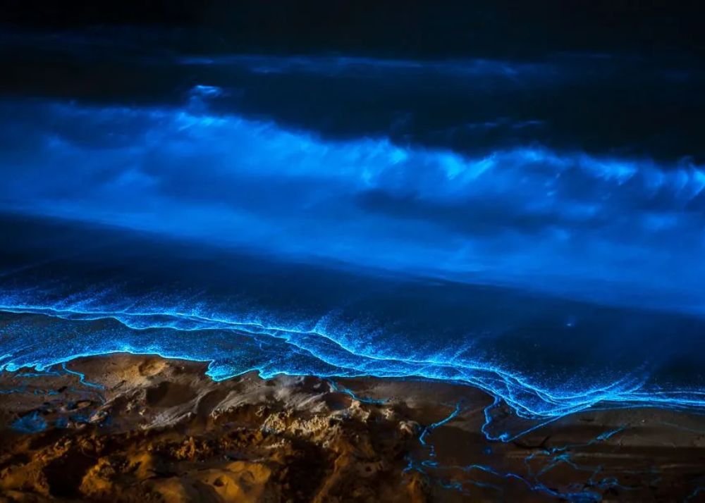 Glowing Beaches Across the world